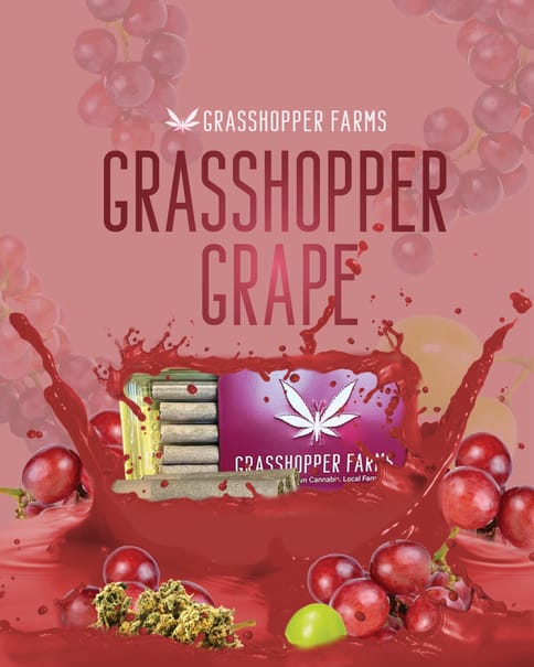 Grasshopper Grape (Infused Pre Roll)