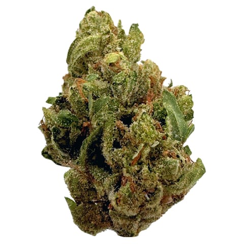 Lizard Diesel Overstock - 7g