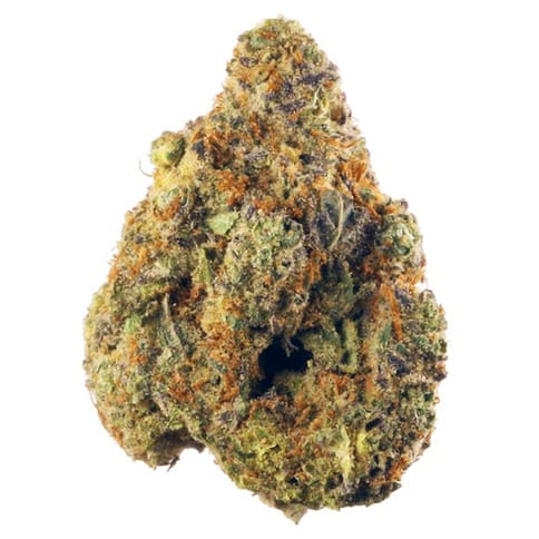 All Gas OG