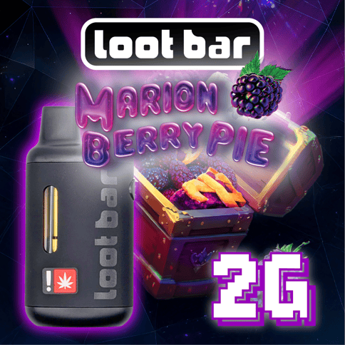 Loot Bar Marionberry Pie 2g Disposable (Lighthouse)