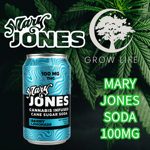 Mary Jones Soda Raspberry Lemonade 100mg (REC)
