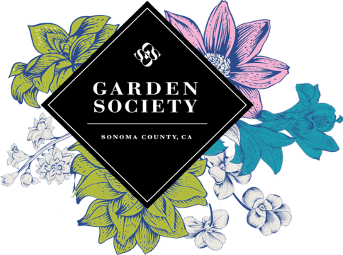 Garden Society | Dreamberry (I) (1:1:1) | 5mg THC / 5mg CBD / 5mg CBN x 20 Gummies