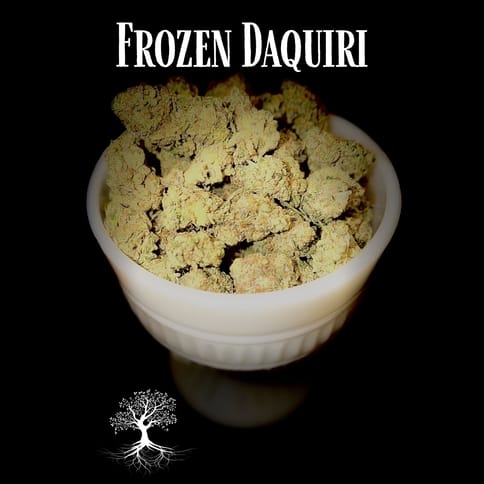 Buds - Frozen Daiquiri