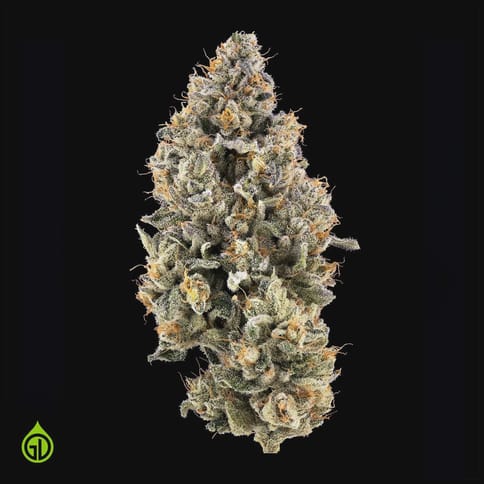 SAFETY MEETING - 3.5G