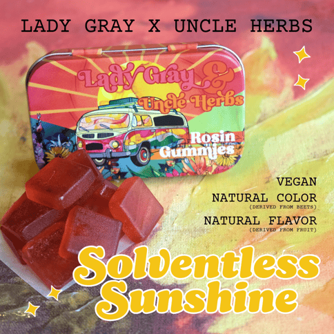 Live Rosin Gummies (100mg) Raspberry Custom Tin 10pk by Lady Gray