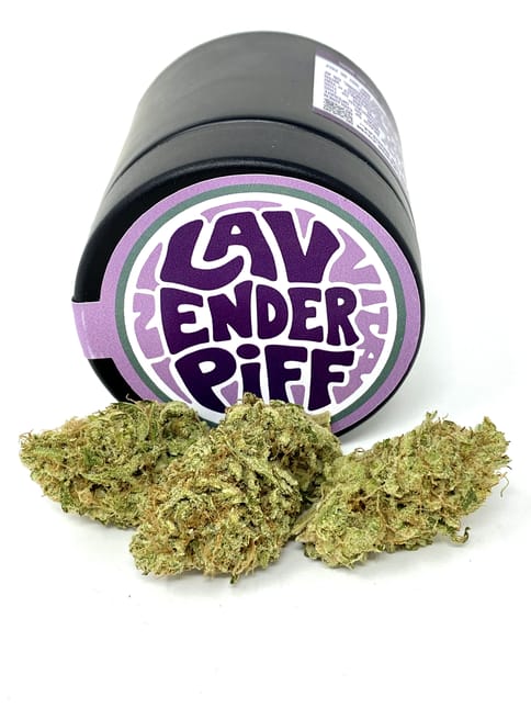 Hazy Hill Farm | Lavender Piff - 3.5g