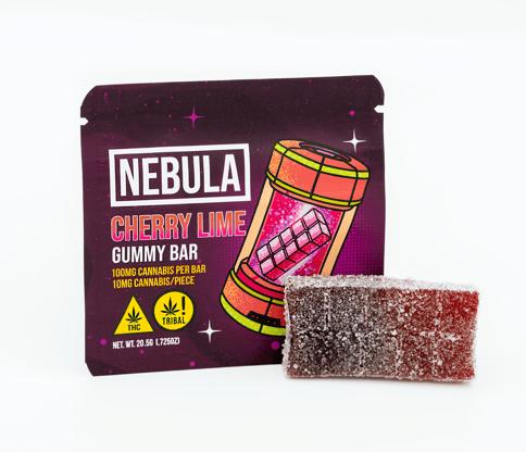Cherry Lime Gummy Bar | 100mg