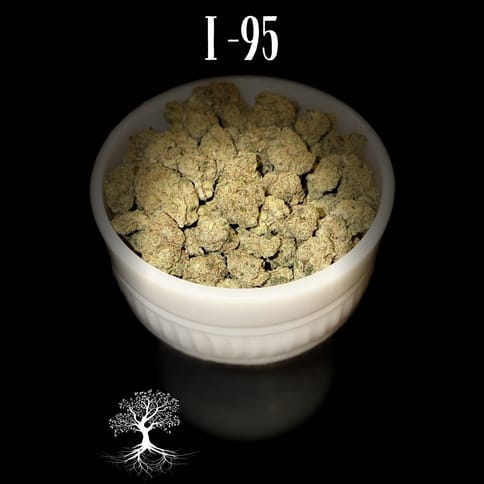 Buds - I95