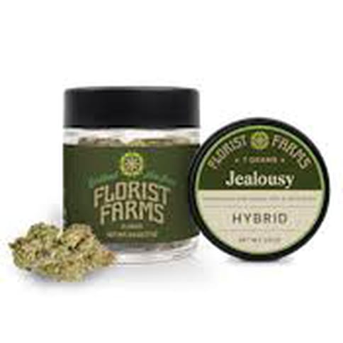 Florist Farms | Jealousy | Flower | 7g