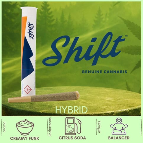 Cap Junky Hybrid Pre-Roll by Shift Cannabis | Golden Rookie