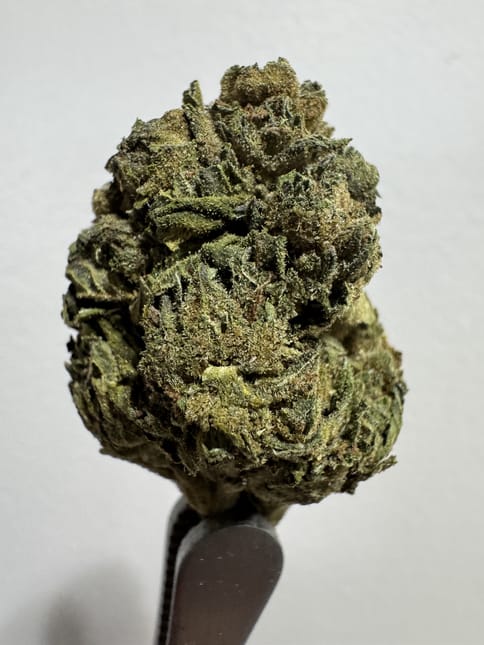 Acapulco Gold Bulk - 32.1% - 28G