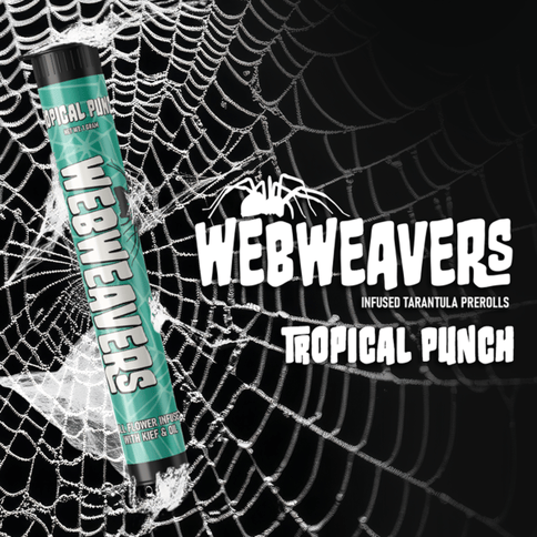 Webweavers Tarantula 1g Infused Preroll | Tropical Punch