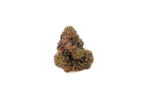 Lumpy"s Flowers | Mylar - Sherbanger #22- 3.5g