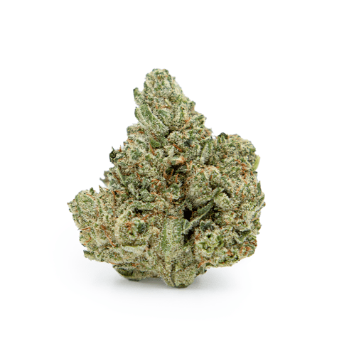GG#4 Deli Flower