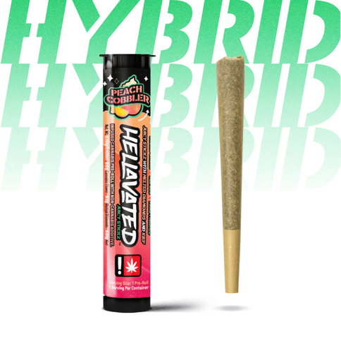 Hellavated | Peach Cobbler | 0.75G | Flavored | Infused Preroll