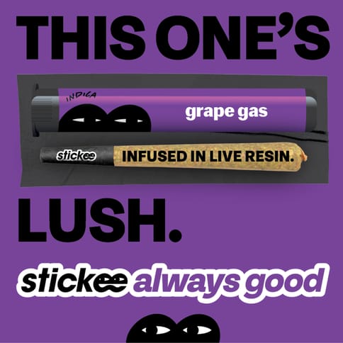 Stickee 1.2G Live Resin Infused - Grape Gas