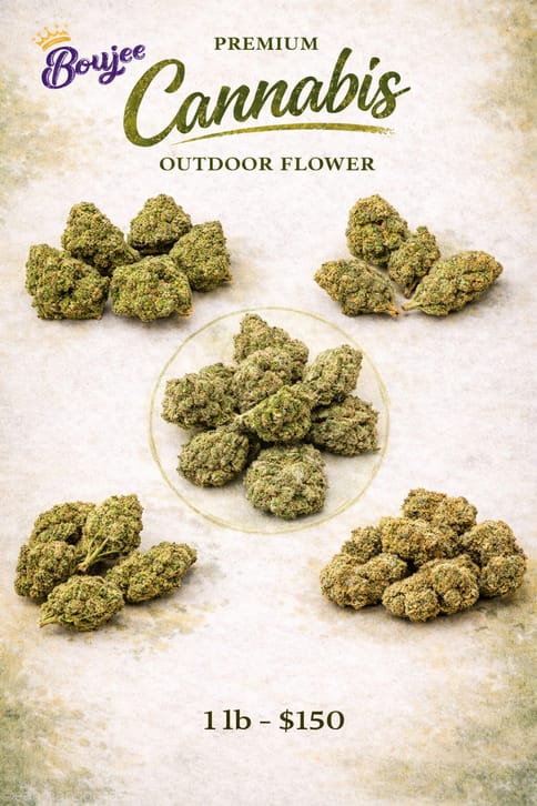 SFV OG | Oz | Vandalia Organics |