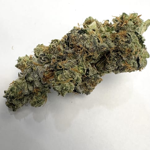 Gary Payton (High Ridge Farms)