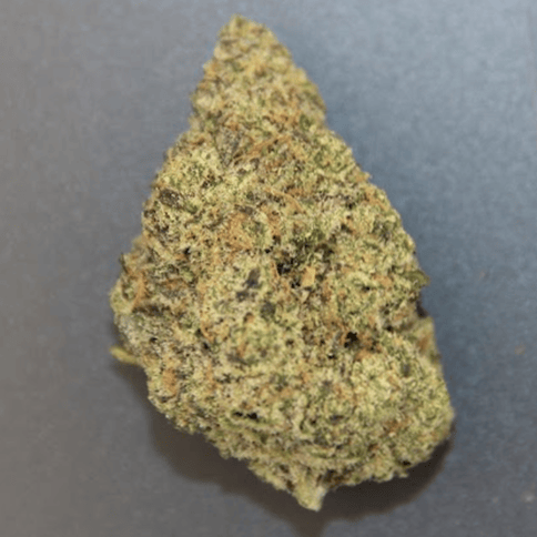 Primo Danks | Bulk | Ruthless Runtz