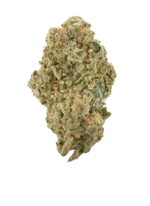 MAC - GH - 3.5G