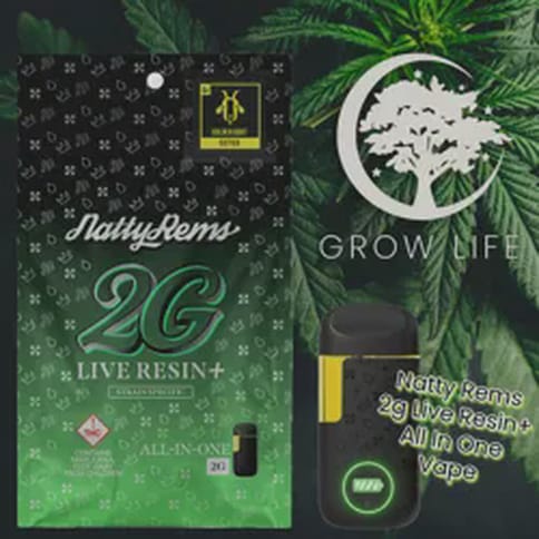 Natty Rems Live Resin+ AIO Vape Garlic Apples  2g (REC)