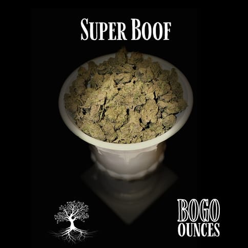 Buds - Super Boof (Outdoor Grow)
