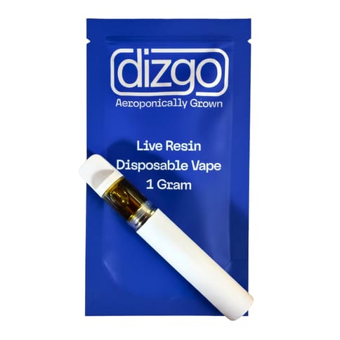 Orion | Disposable | Dizgo |