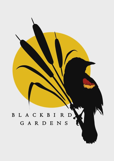 Blackbird Gardens | Koffee | 3.5g Flower