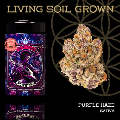 Purple Haze | 14g Pre-Packaged Jar | Flower of Life