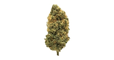 Alt Sol | Tahitian Lime | - 3.5g