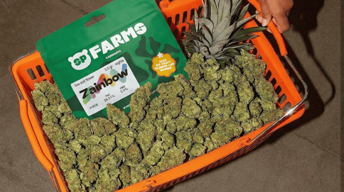 SP Farms | Zainbow | 3.5g Flower