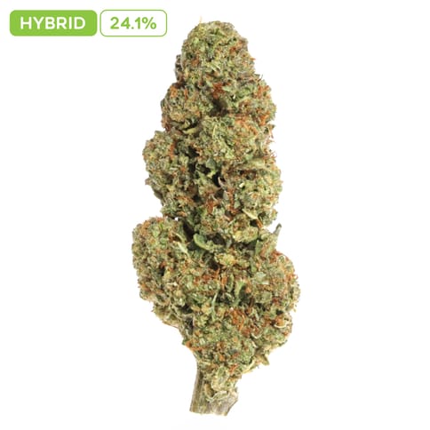 Key Lime Jack 3.5g