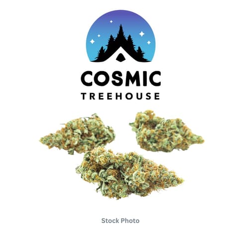 Cosmic Treehouse Bud | Randy Marsh Hybrid - Bulk