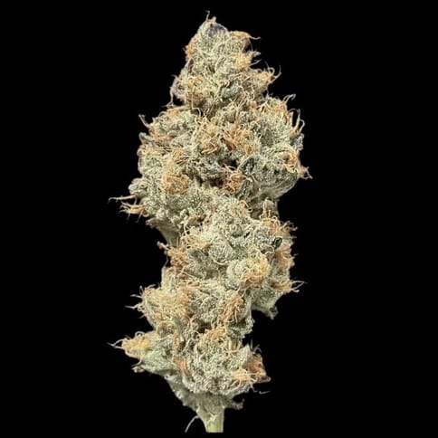 Choof | Tahiti Twist | 3.5g