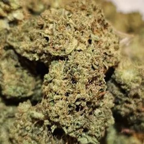 Green Crack *[Dime Store Deal]
