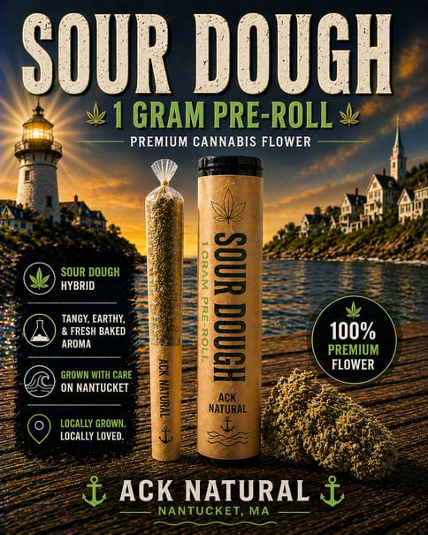 Sour Dough '26 Pre-Roll - 1G