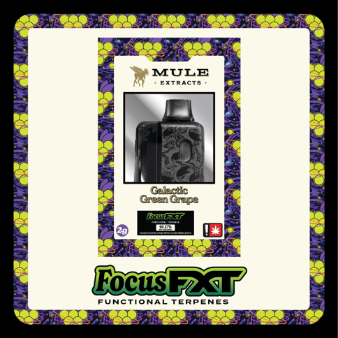 2g MTEC FXT Disposable - Galactic Green Grape (Hybrid)