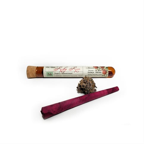 Ruby Farms - 1.5g Infused Rose Petal Preroll - Grandaddy Purple