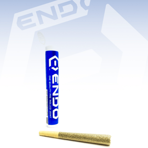 (REC) Endo Pre-Roll 1g - Dreamsicle
