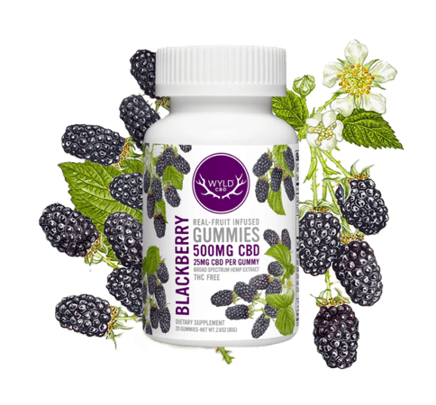 WYLD | REAL FRUIT- HEMP INFUSED GUMMIES | BLACKBERRY | CBD | 500MG CBD TOTAL | 20 PIECES