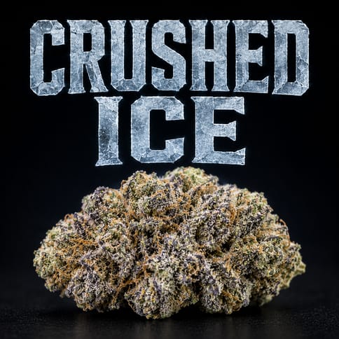 Crushed Ice - Flower - 3.5g