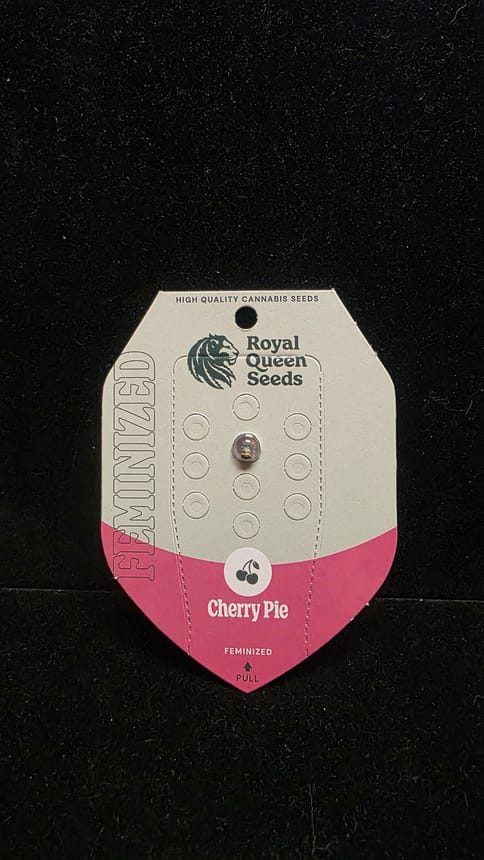 Feminized Seeds - Cherry Pie FEM