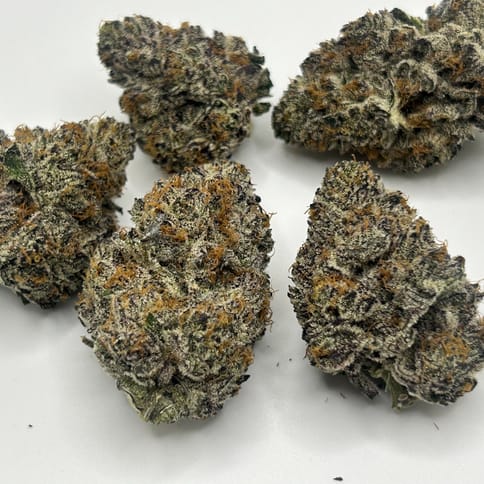 Ice Cream Runtz by Flower Mountain Farms