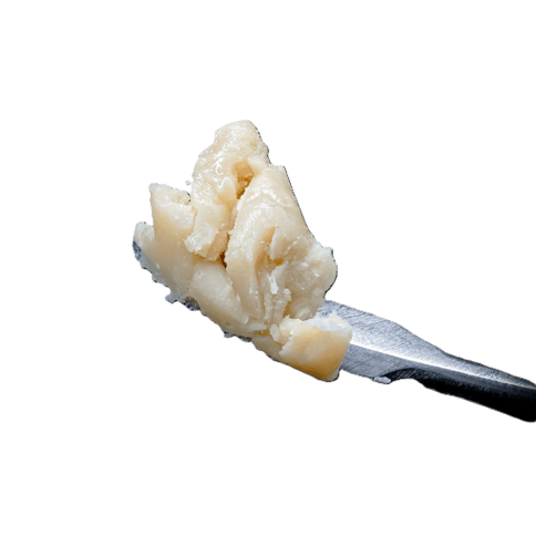73-159µ FULL SPECTRUM LIVE ROSIN | APRICOT SMACKS #5 | SATIVA | 1 GRAM