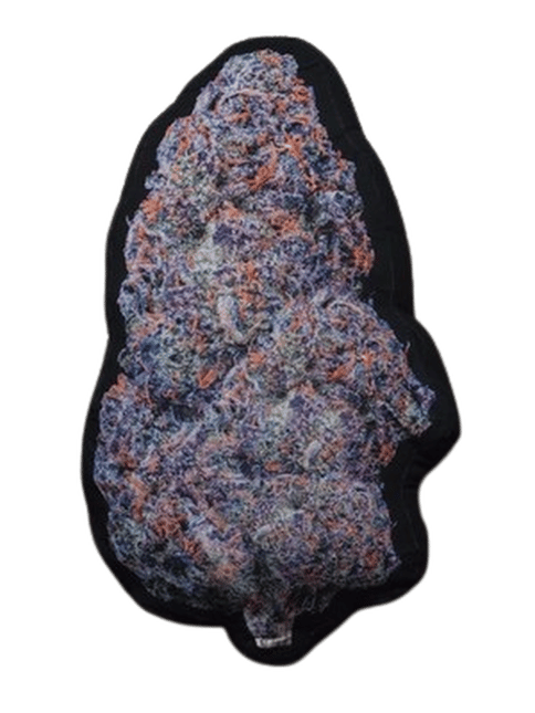 STIIIZY - Nug Pillow