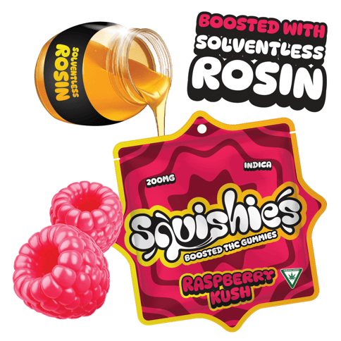 (REC) Solventless Rosin Gummies 200mg - Raspberry Kush (Indica)
