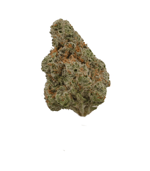 Ghost OG - 3.5G