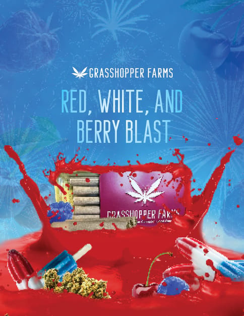 Red White Berry Blast (Infused Pre Roll)
