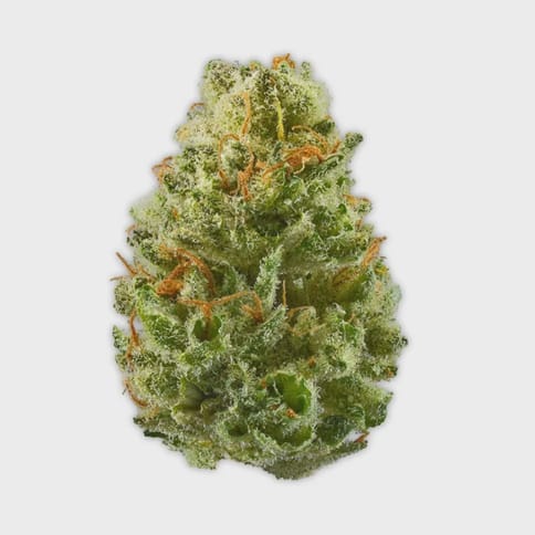 Strawberry Cough Deli Flower
