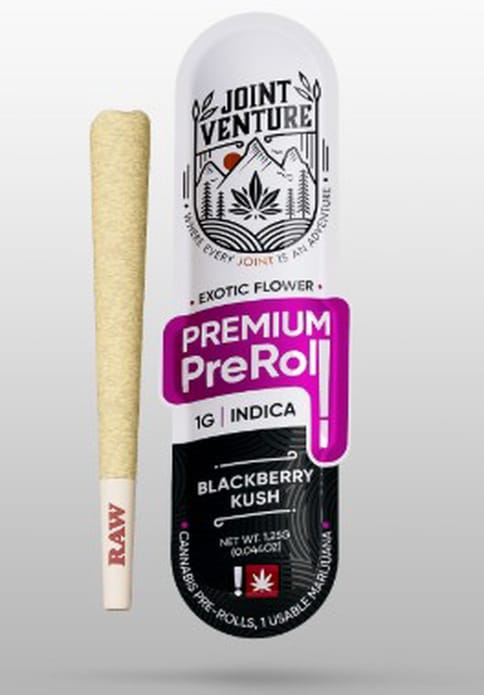 Joint Venture | BlackBerry Kush | 1G | Preroll